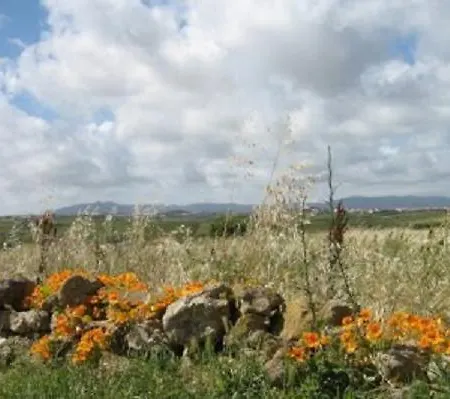 Nyaraló Rivas House *